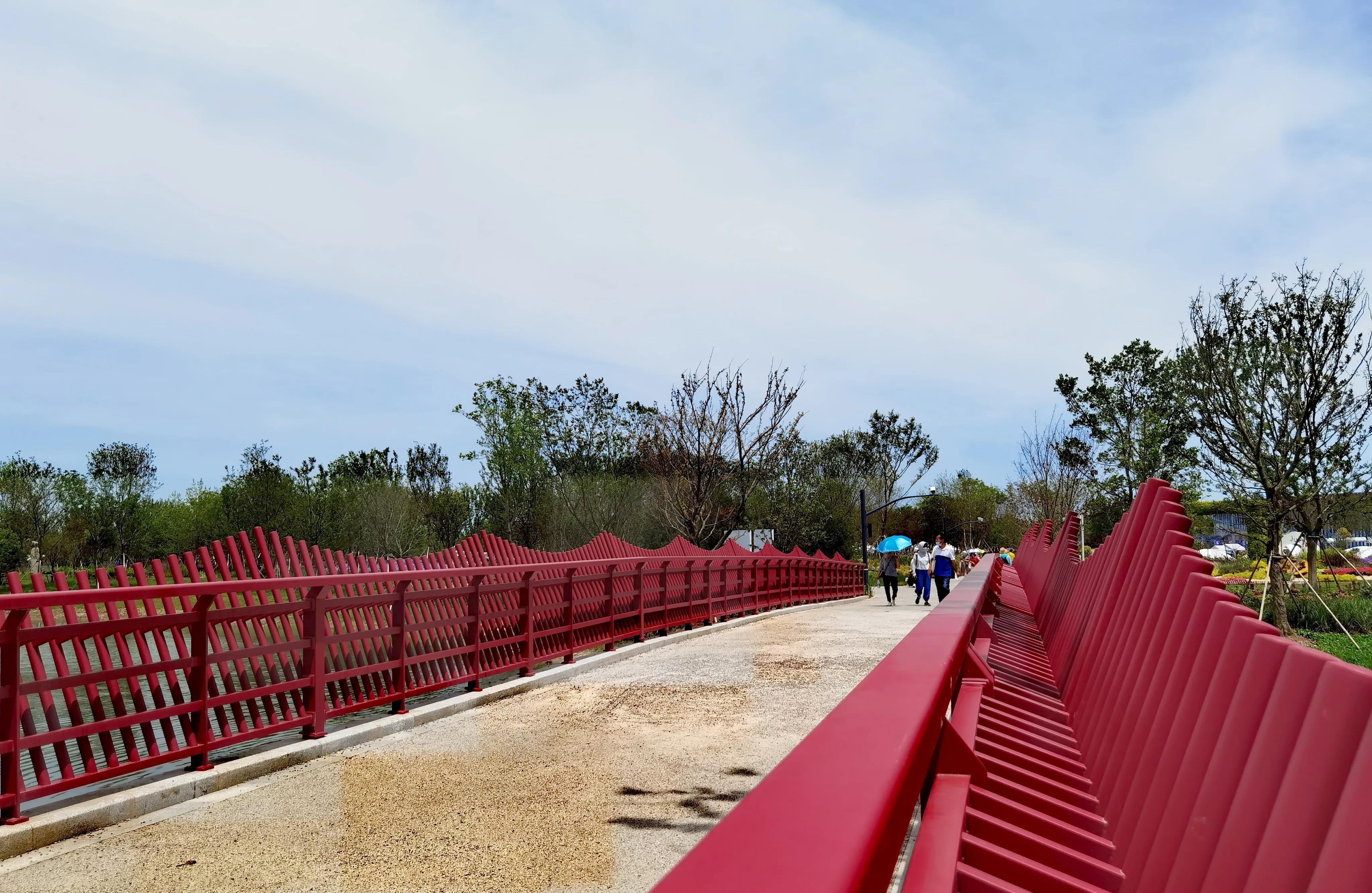 关于崇明花博会,崇明花博会全程花景