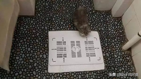 蹲便好还是马桶好介绍,是蹲厕更方便还是马桶更方便