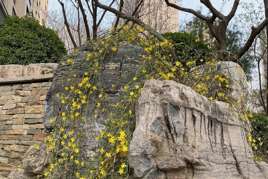 走在春天里简谱,歌曲走在春天里