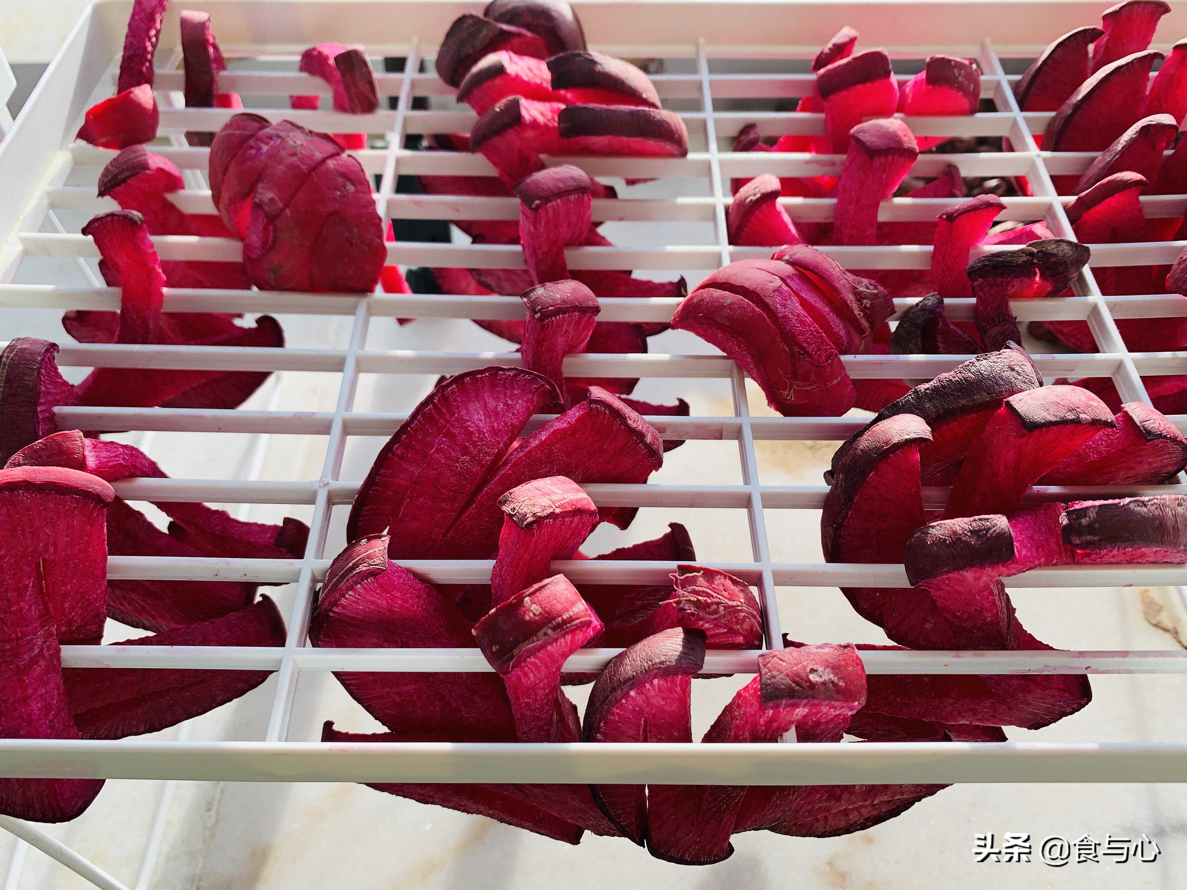 每日健康美食101种,一周健康营养美味食谱