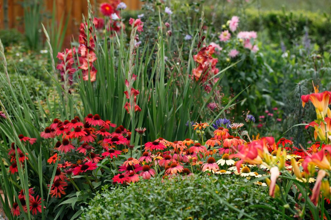 曾是电脑城销售，12年后坐拥60亩私家花园，137万网友跟她看春天