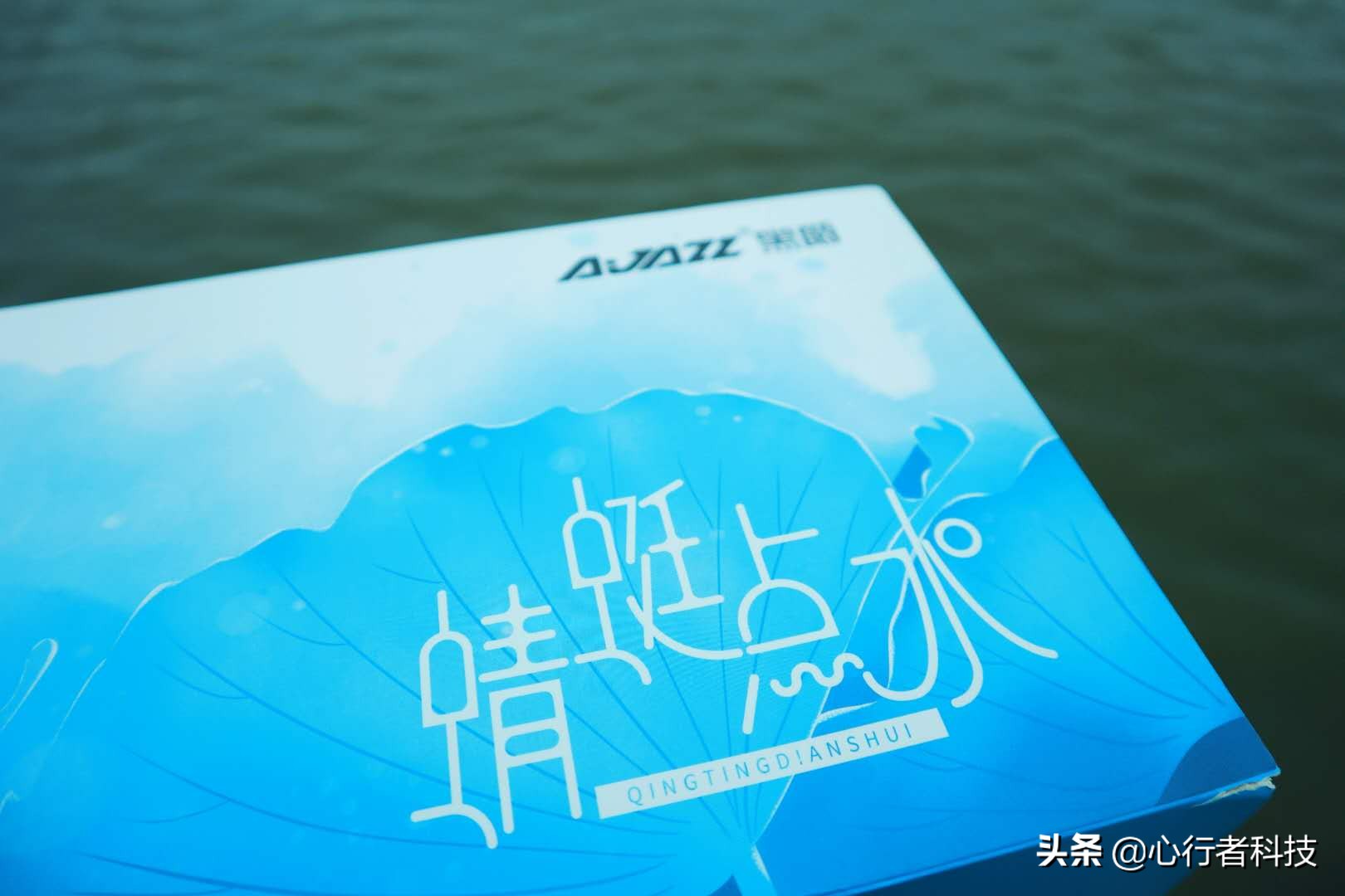 蜻蜓点水立指尖——黑爵蜻蜓键茶轴体验