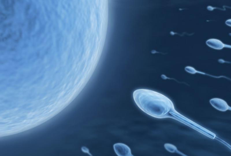 “精子”进入女人体内后，没有受精的都去了哪里？看完或许会明白