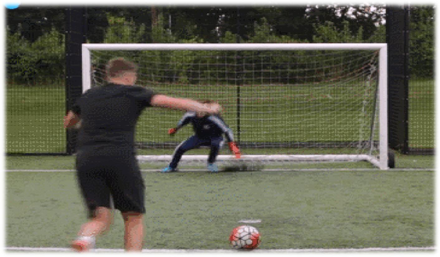 科学砰砰秀之弹力世界