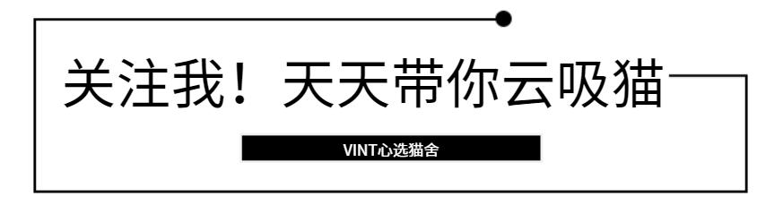 面对宠物的离去我们能做什么,怎么面对宠物离去的悲伤