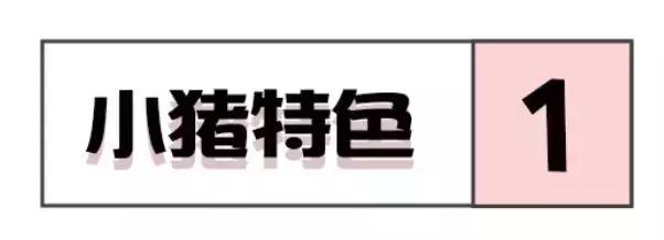 新年红包2024年新款创意包包,新年红包包包2024新款