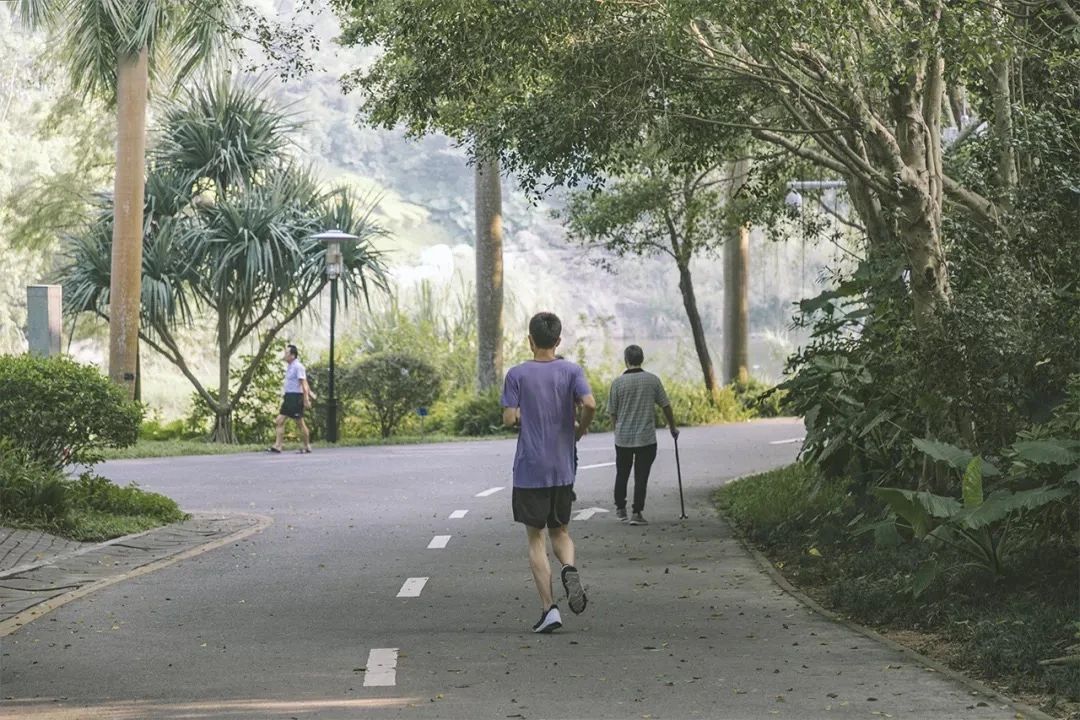 深圳经典一日游路线也太好玩了,深圳一日游经典线路