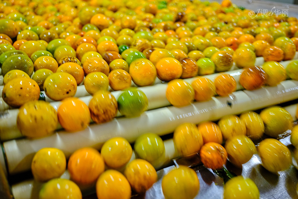 巴西像内马尔的人,巴西像