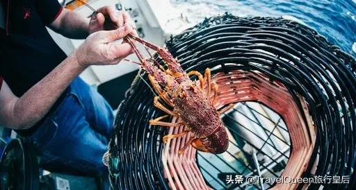 如果没有中国游客，世界该有多无聊