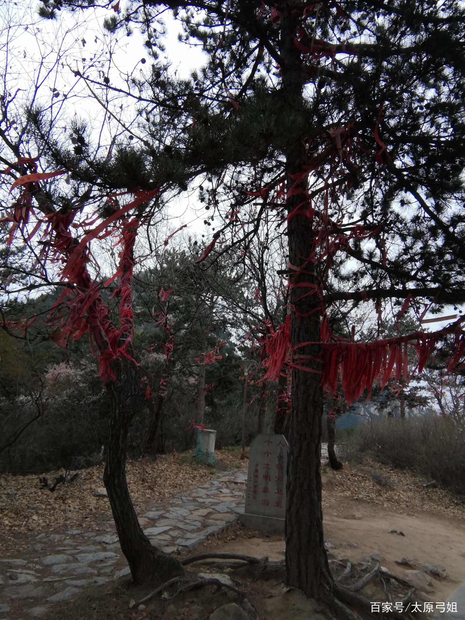 吕梁北武当山在哪个县,三晋第一名北武当山的风景