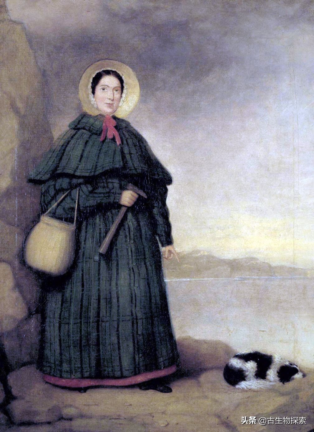 侏罗纪世界翼龙品种,侏罗纪翼龙是肉食还是草食