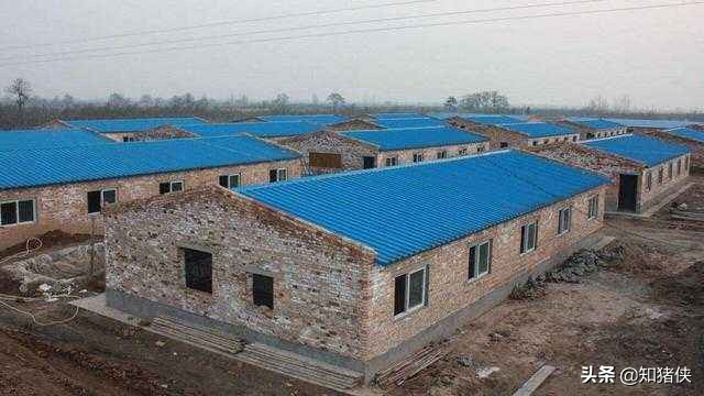 猪场场区分区图,猪场场区绿化平面图