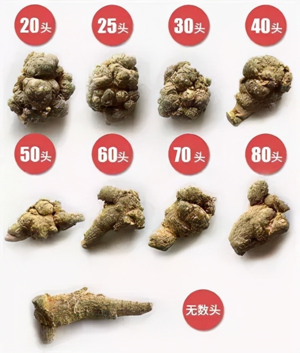 椹崥澹亰鏈崏,椹崥澹鍖诲瑙嗛
