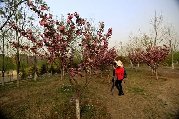 北京房山团建踏青地点推荐,北京房山春季旅游最佳去处