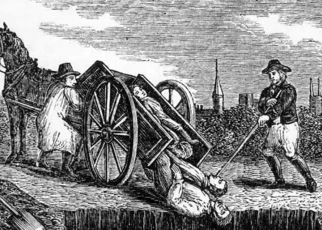 鼠疫黑死病应对的方法是什么,鼠疫和黑死病还会爆发吗