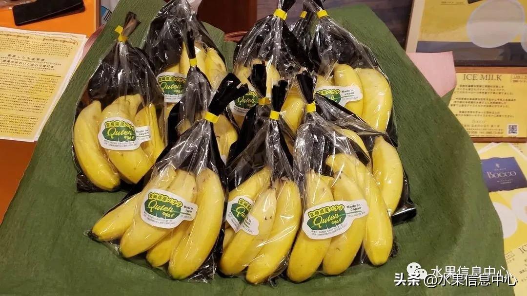 日本农业发达到什么程度？荔枝、香蕉、菠萝竟然用温室来种