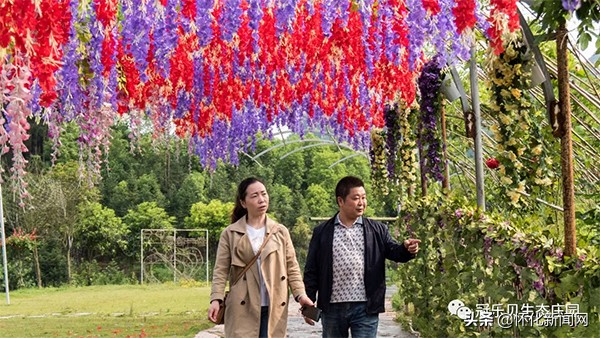 五一怀化亲子游推荐,怀化五一可以带孩子参观的地方