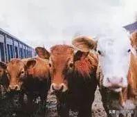 全民国家安全教育日的感受和看法,全民国家安全教育日筑牢国家安全