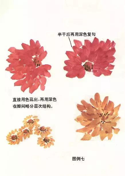 菊花国画入门简单教程,国画菊花画法技法教程