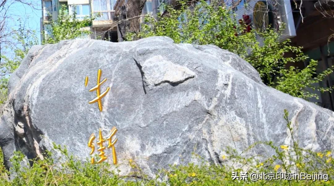 鐗涜鑳″悓鑿滄槸娓呯湡鐨勫悧,鍖椾含鐗涜闄勮繎鑳″悓閲岀殑娓呯湡椁愰
