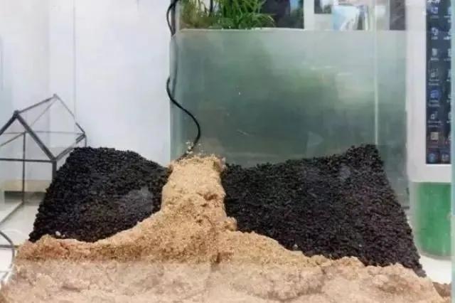 本色水景雨林,本色水景假山