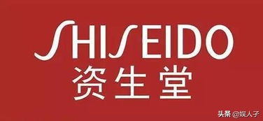 世界八大化妆品集团,了解全球各大化妆品集团