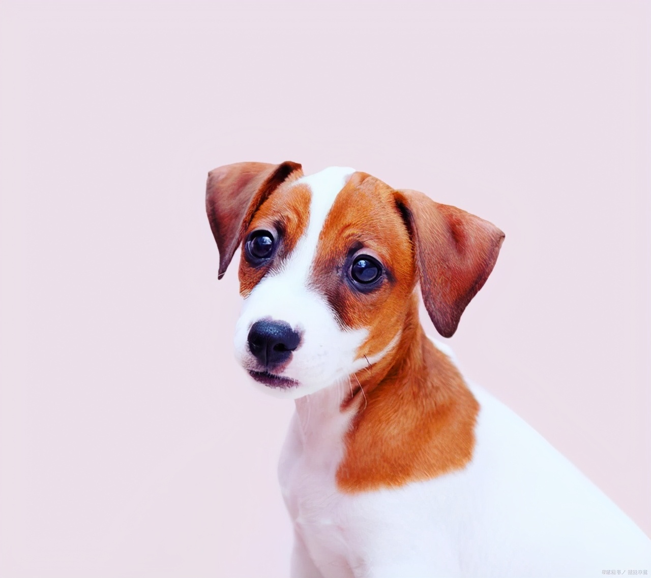 不善于人际交往怎么办教你一招,人际交往太差被讨厌该怎么办