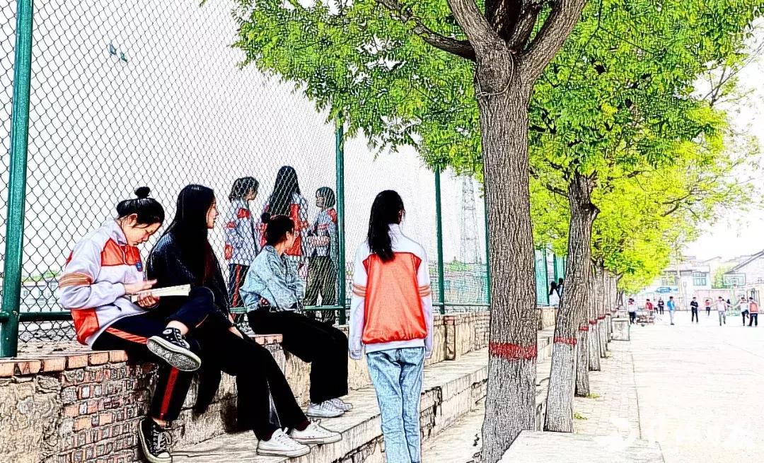 这里是，焦作市第四中学！