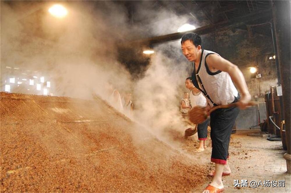 真全粮酿酒教学直播,真全粮酿酒原料配方