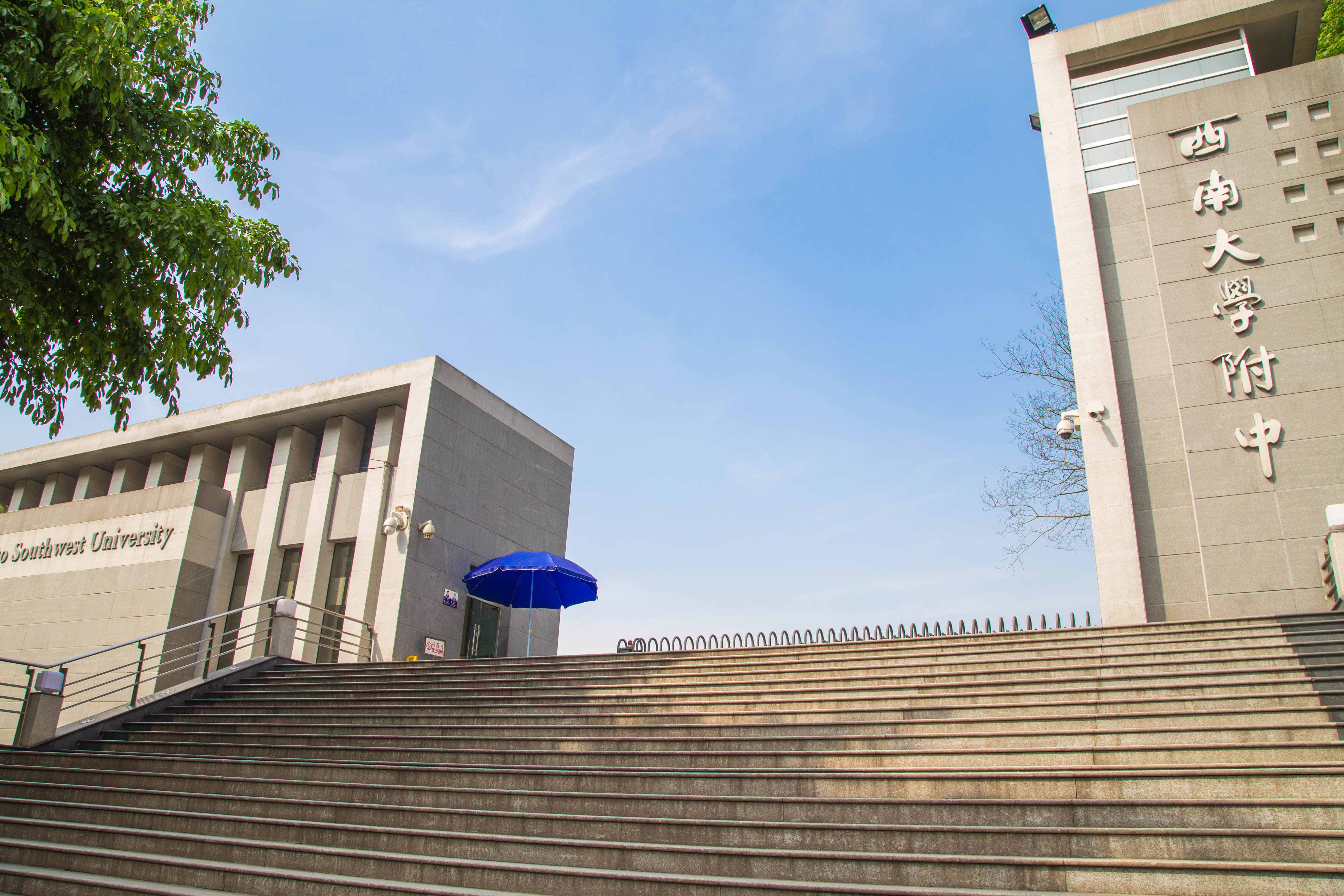 重庆王朴中学重庆排名,重庆中学10大名校排名