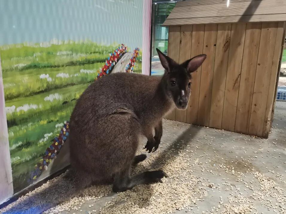深圳十大暑假室内必去景点,深圳暑假值得带孩子旅游的地方