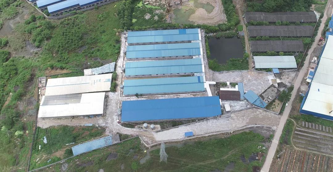 鎵繑闃查潪,鎵繑鐢熺墿瀹夊叏闃叉帶鐨勫叧閿偣鎬荤粨