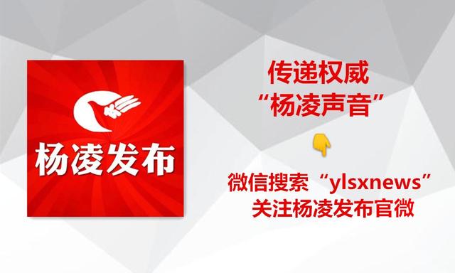 2019中国马拉松前十名,2023最具影响力马拉松排名