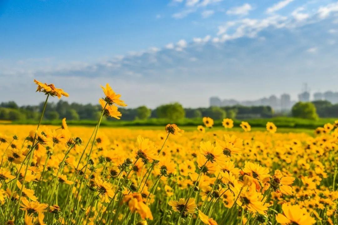 3分钟新闻早读,早读新闻60秒