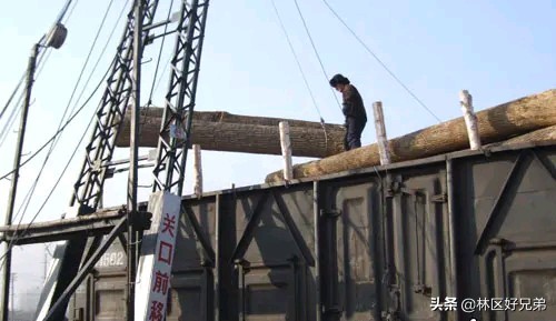 东北林区永恒的“青春之歌”——亚洲第一大贮木场