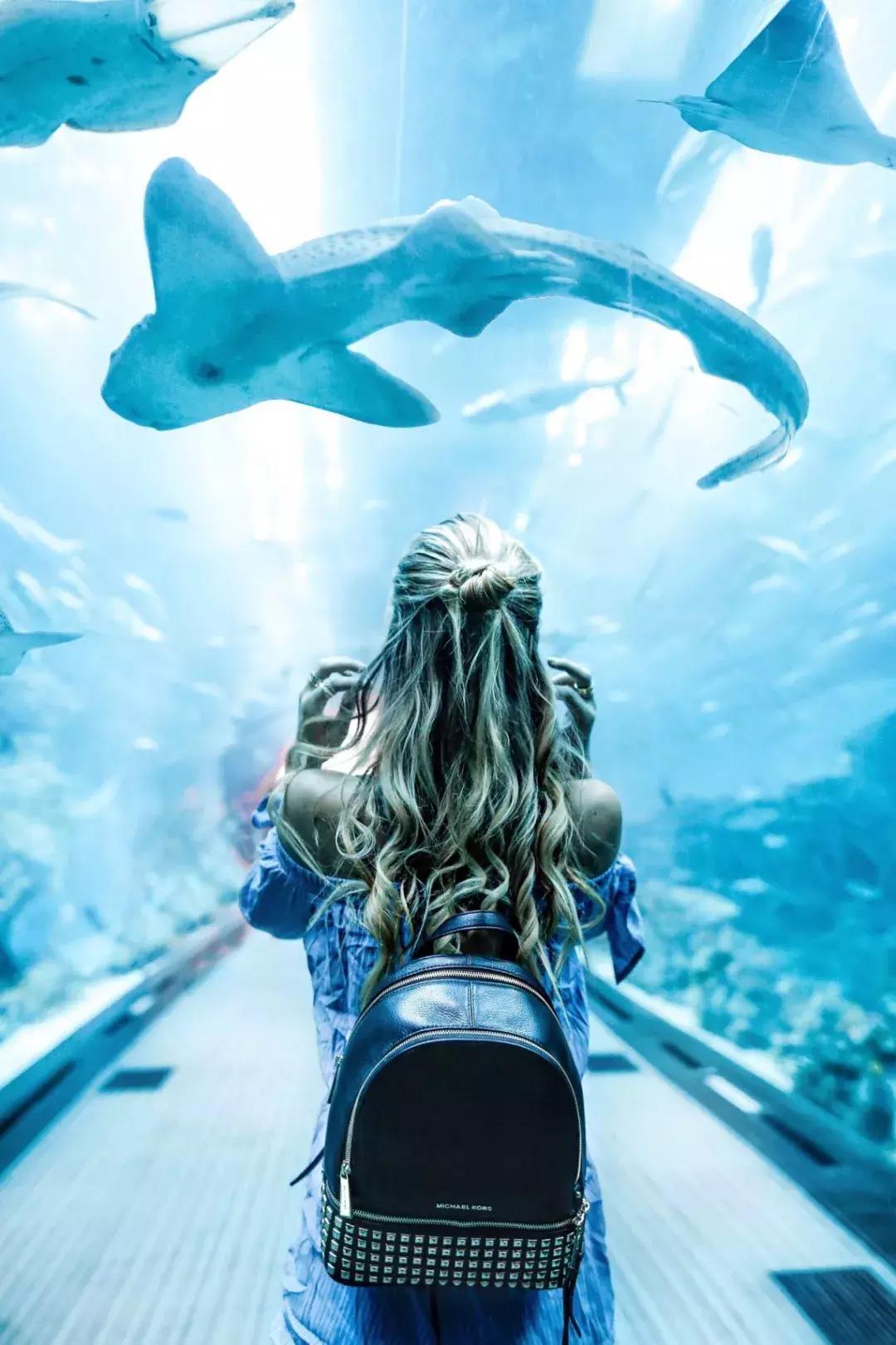 靠捡垃圾成为千亿富豪,靠捡垃圾成为千亿富翁合集