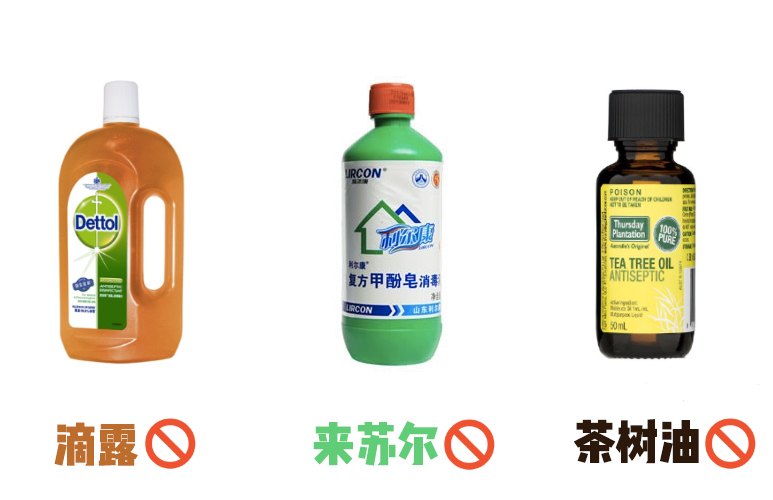 猫用消毒剂推荐,猫家用消毒剂