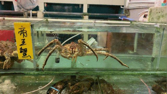 去深圳蛇口,去蛇口游玩到哪里