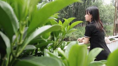 秦皇岛市中心的餐厅,这家藏在巷子里的店偷偷火了6年