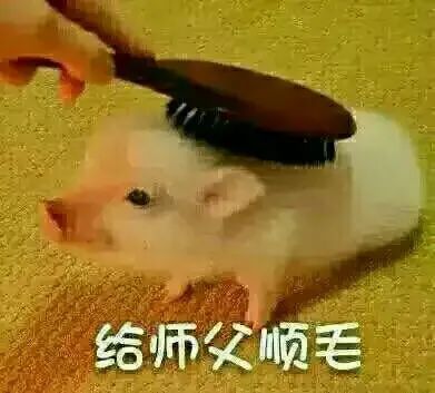 导师人品不好可以被举报么,导师人品可以就是没实力怎么办