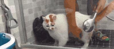 瘙痒时越挠越痒,挠挠就起疙瘩怎么办