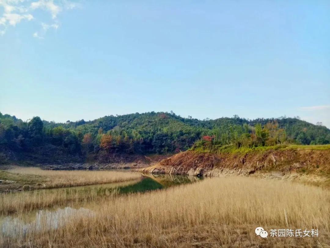 月经太少吃什么补得快,月经不调保护卵巢