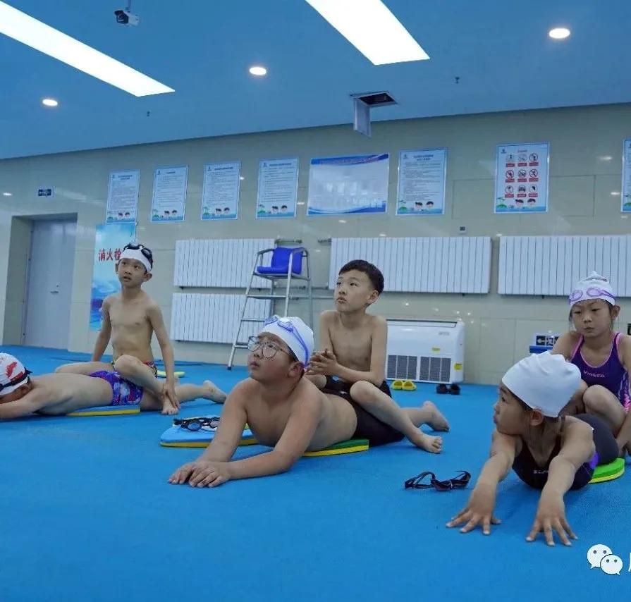 独家揭密,这就是康巴什学生快乐成长的秘诀之一!