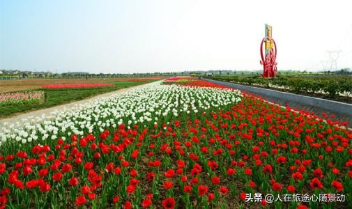 南京江宁乡村旅游攻略,南京江宁最美乡村一日游