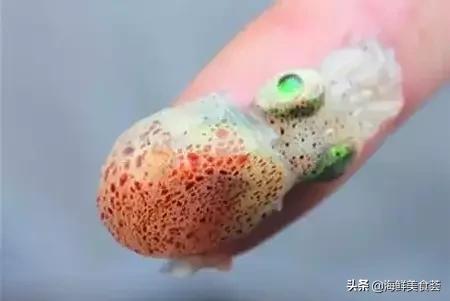 100种不同名字的海鲜,10种常见海鲜大全