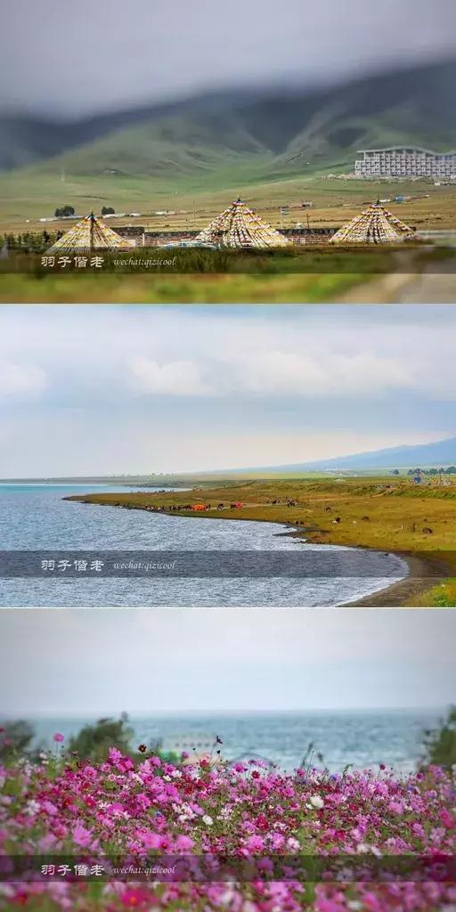 打卡青海湖自驾游,打卡全国酒店