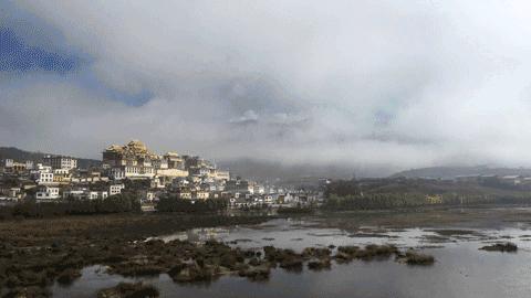 李子柒进驻视频号，热度不敌素人：短视频赛道，暗藏着巨大红利