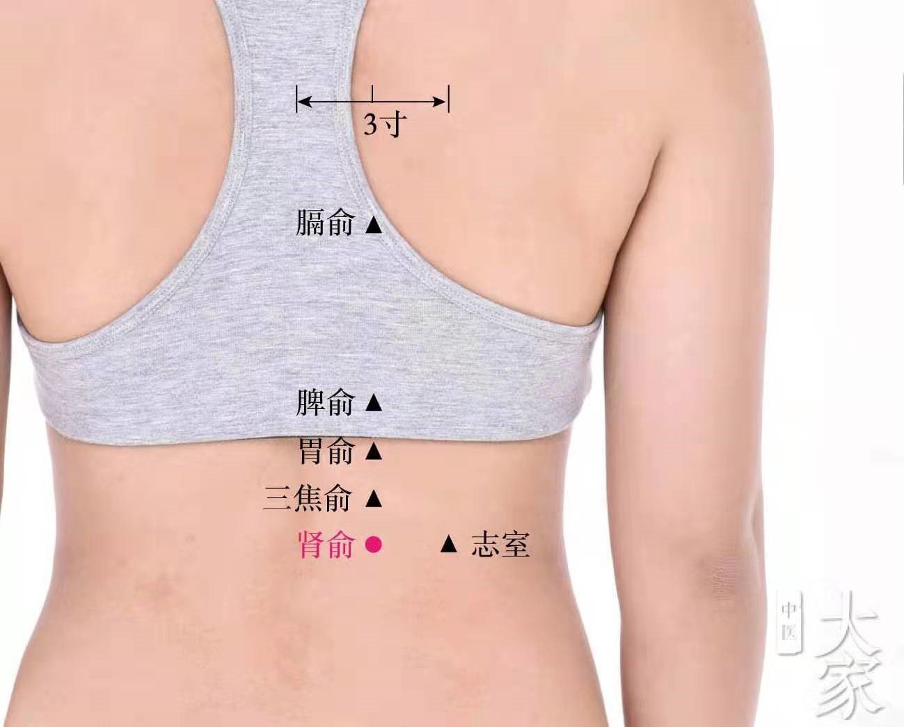 名老中医妙手抗疫,上海中医抗疫药方