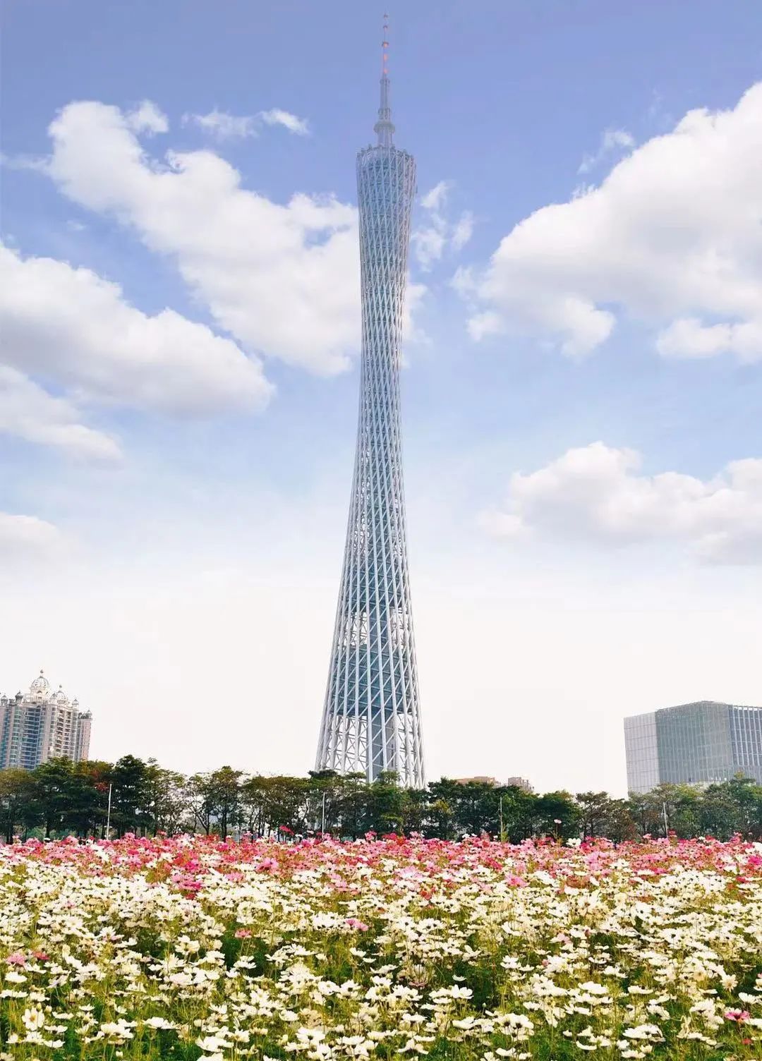 海心沙的花海美爆了,广州海心沙花海