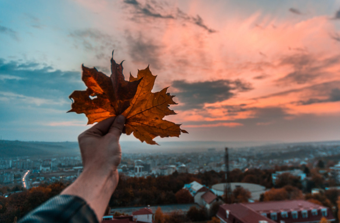 投连险理财适合你吗谨防被忽悠 (理财型保险到底是怎么坑你的呢)